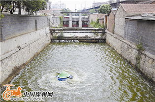 清水繞城，生態煥新 我市探索治理黑臭河道新路徑